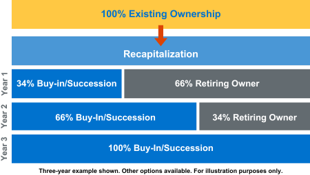 Phased Succession Graphic (2)-1